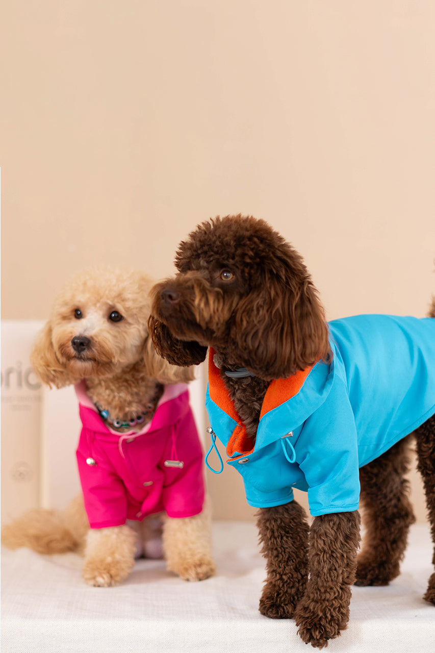 Torino Bright Yağmurluk - Mavi