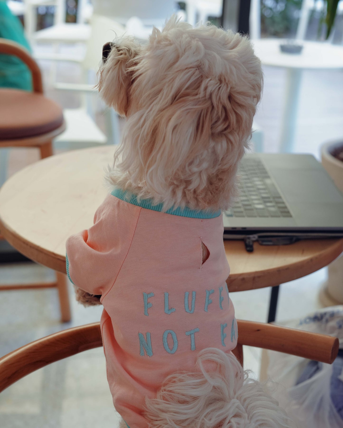 Amalfi T-Shirt - Somon