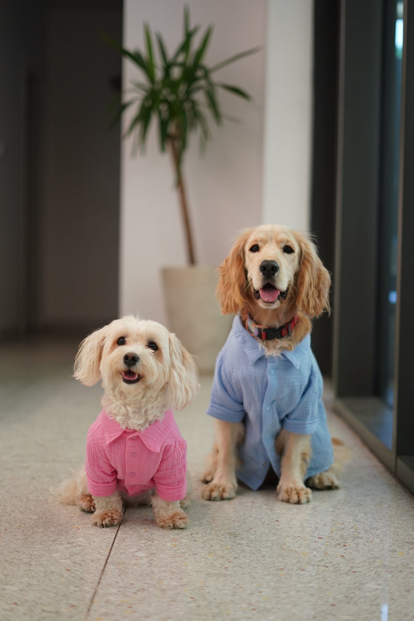 Positano Gömlek - Pembe