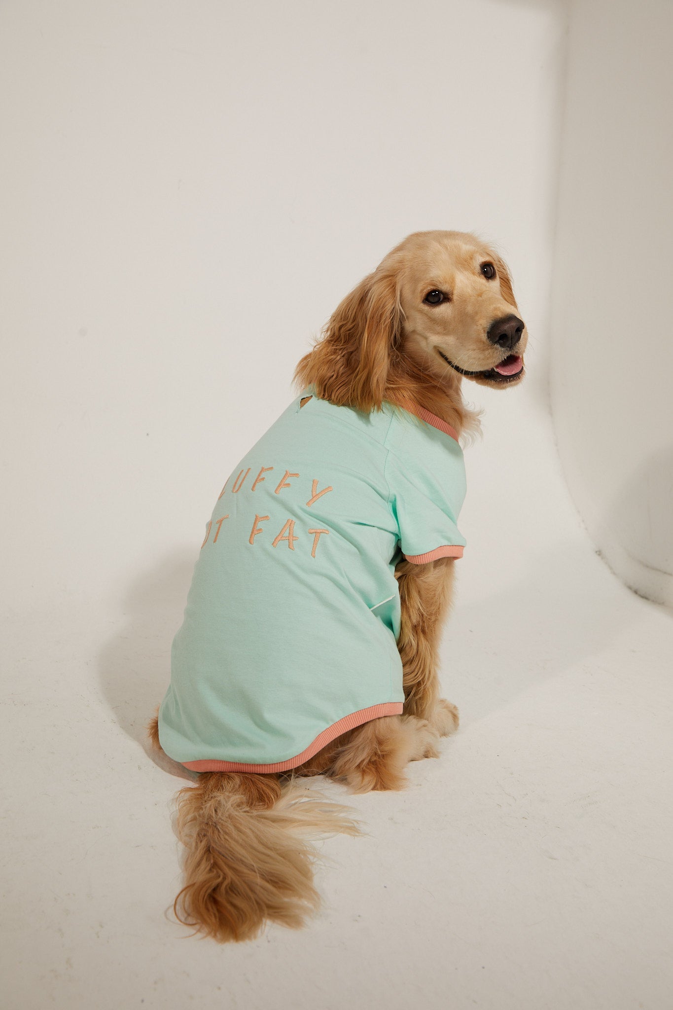 Amalfi T-Shirt - Su Yeşili