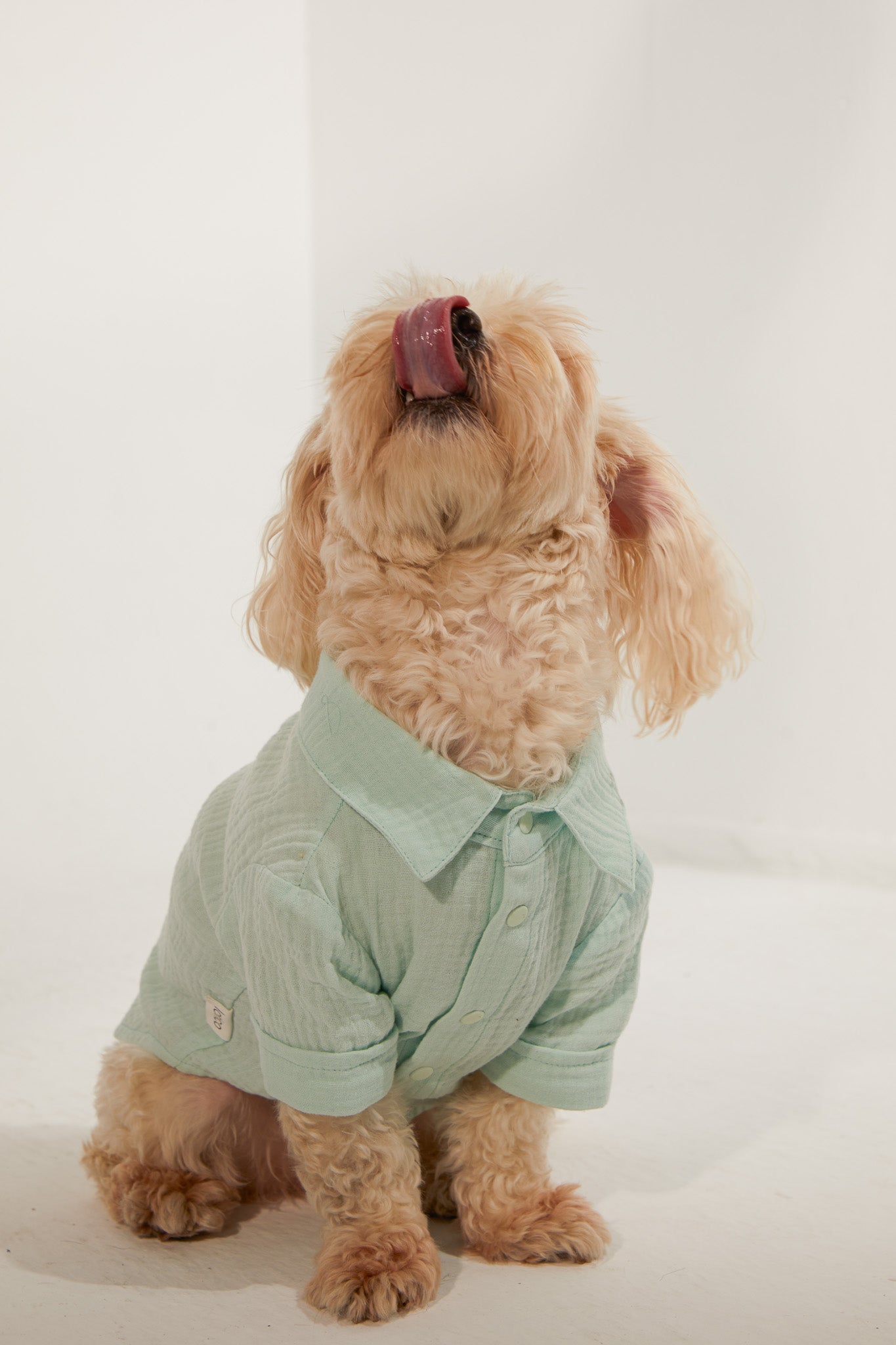 Positano Gömlek - Su Yeşili