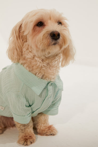 Positano Gömlek - Su Yeşili