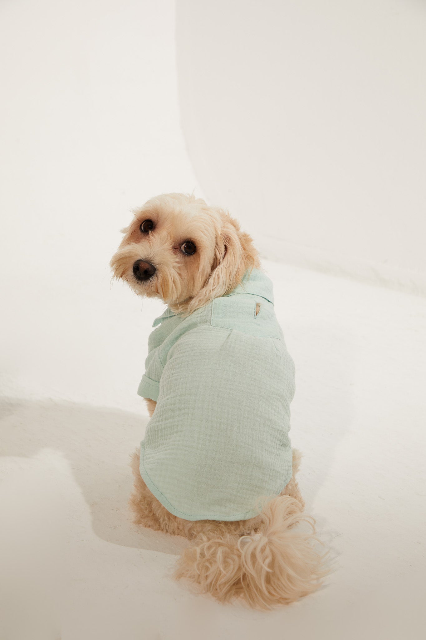 Positano Gömlek - Su Yeşili