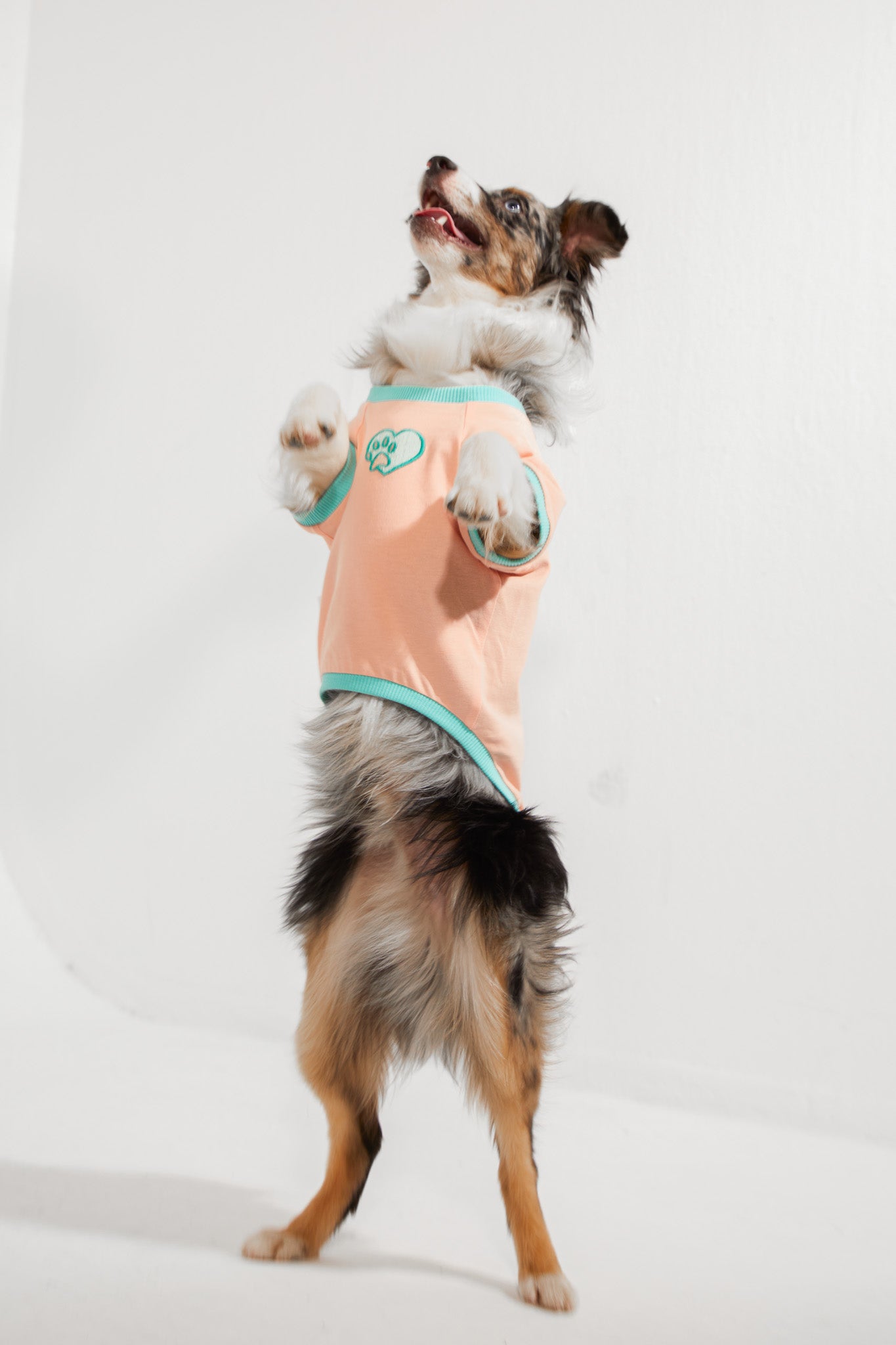 Amalfi T-Shirt - Somon