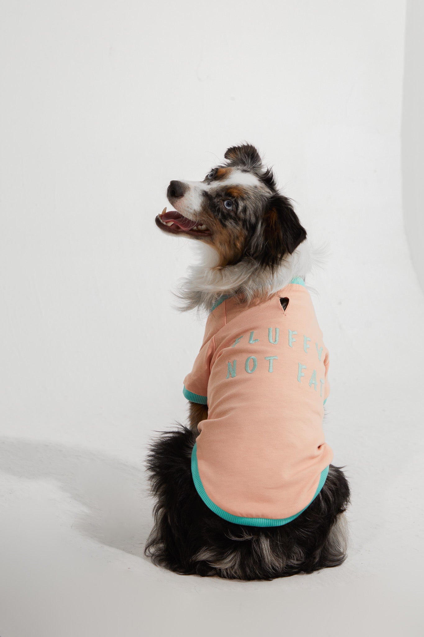 Amalfi T-Shirt - Somon