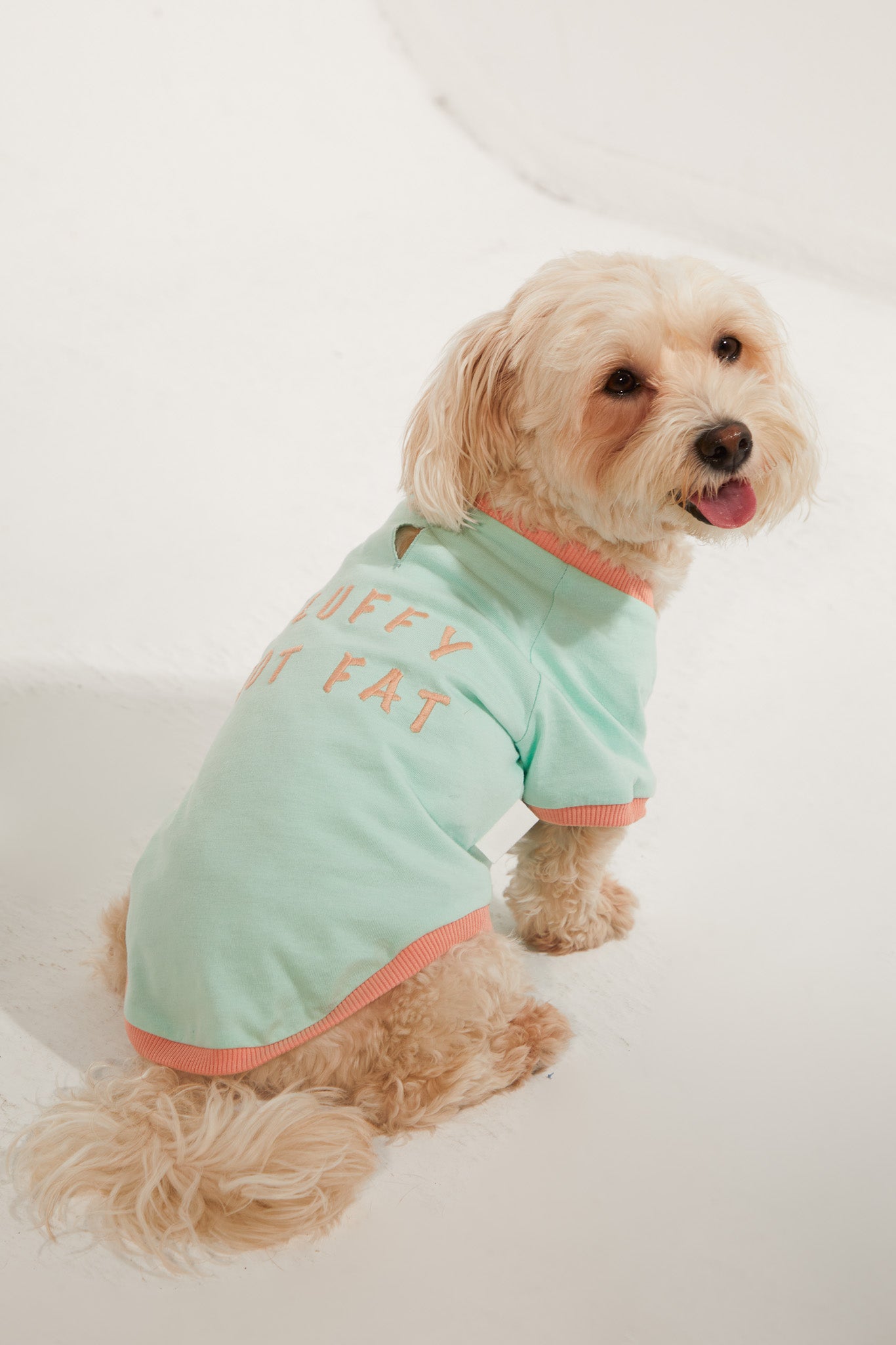 Amalfi T-Shirt - Su Yeşili