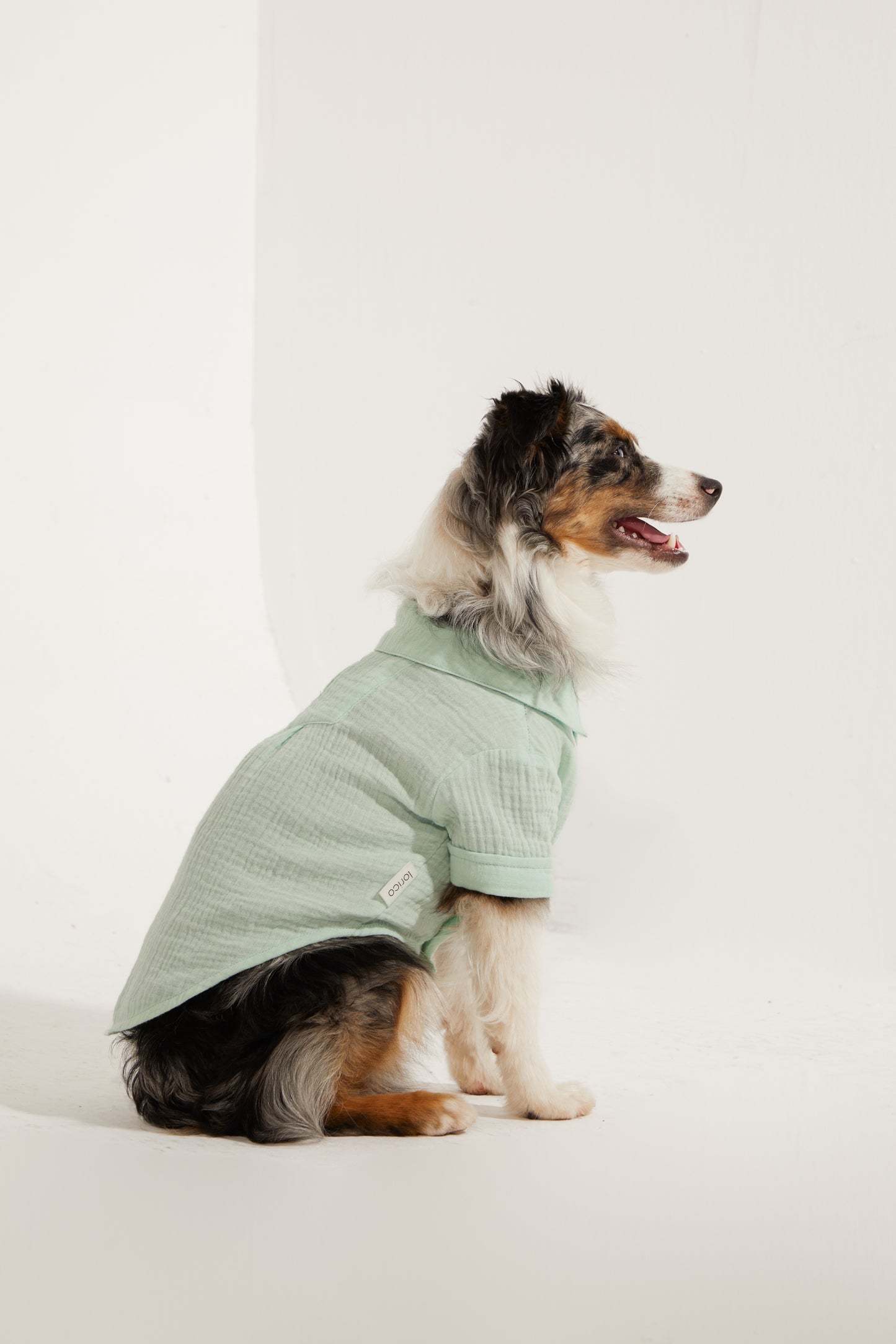 Positano Gömlek - Su Yeşili