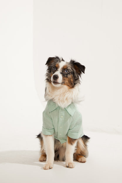 Positano Gömlek - Su Yeşili