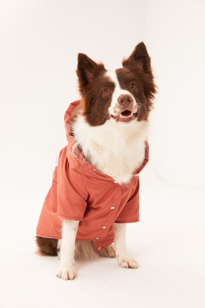 Torino Yağmurluk - Tarçın