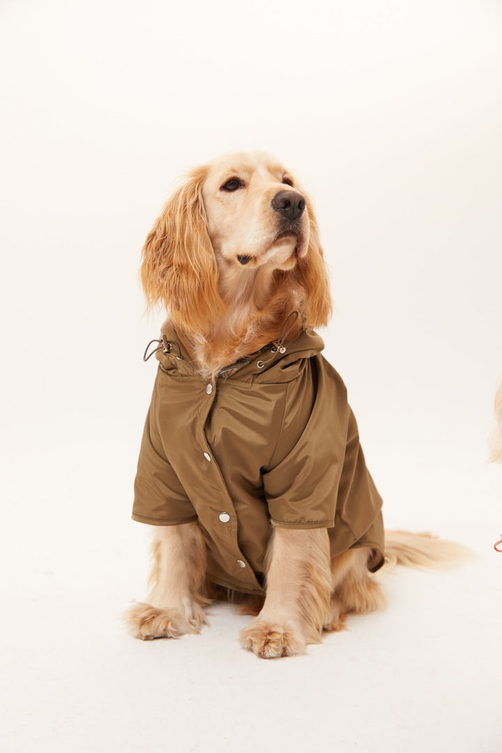 Köpek Mont-Yağmurluk - Yeşil/Haki – Lorico