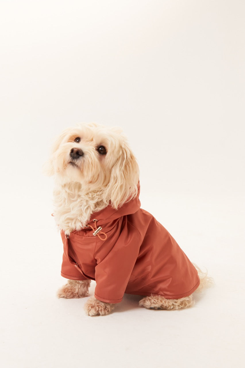 Torino Yağmurluk - Tarçın