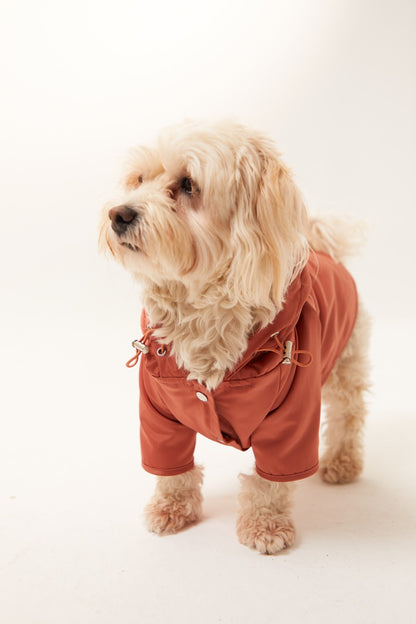 Torino Yağmurluk - Tarçın